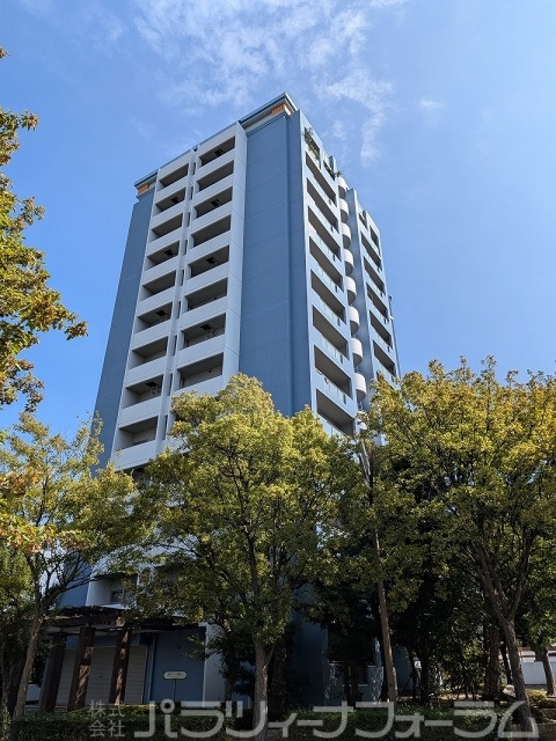 PXL_20251014_020924996