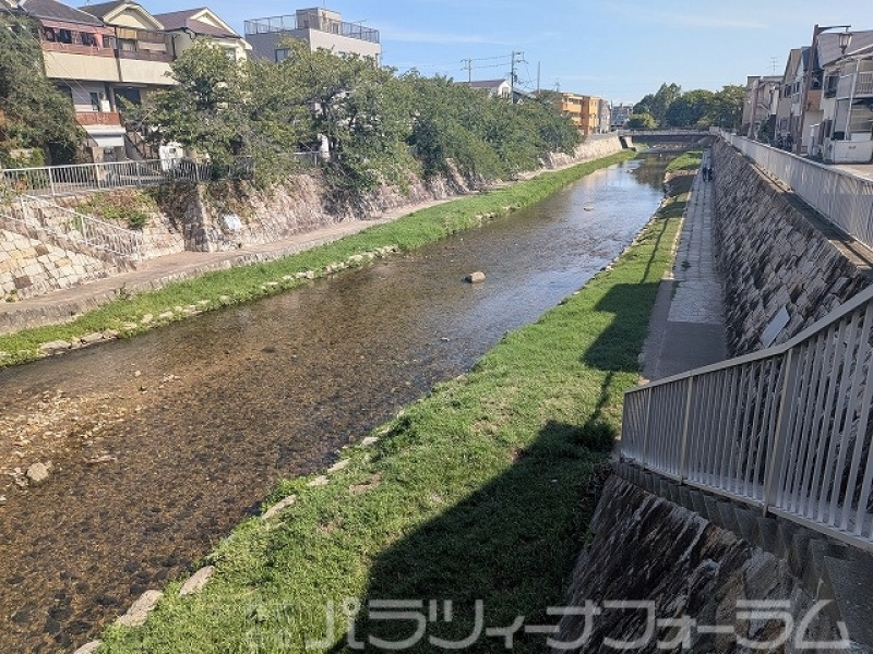 近隣の河川敷