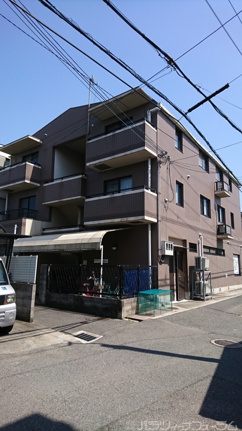 DSC_0922パラロゴ入り